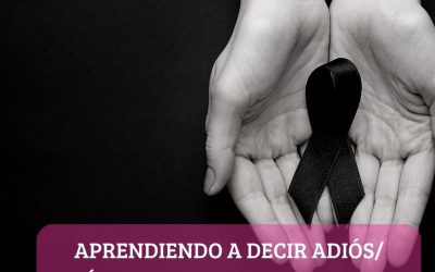 APRENDIENDO A DECIR ADIÓS/ EL DUELO