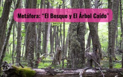 METÁFORA: «EL BOSQUE Y EL ÁRBOL CAÍDO»