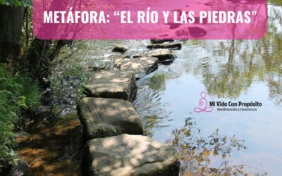 METÁFORA “EL RÍO Y LAS PIEDRAS”