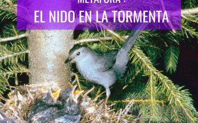 METÁFORA: «EL NIDO EN LA TORMENTA»